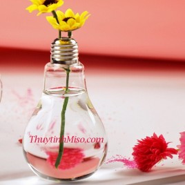 Lọ bóng đèn 250ml