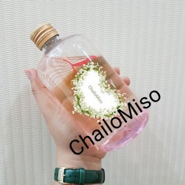 chai nhua pet dung tra sua 500ml form trung