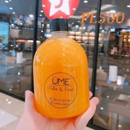 chai pet lun 500ml