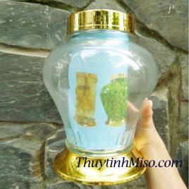 Bình thủy tinh ngâm rượu 3.7 Lít