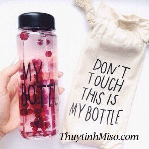 Chai thủy tinh My Bottle + túi vải 3