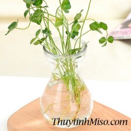 Lọ thủy tinh E3